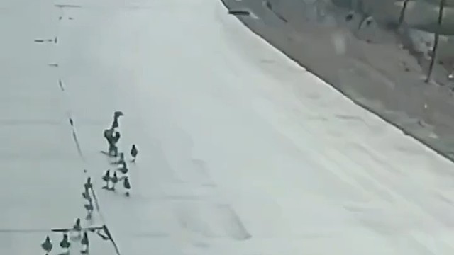 大难临头妈先飞[捂脸]