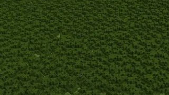 #Minecraft #我的世界