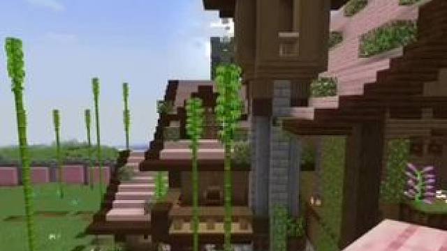 #Minecraft #我的世界