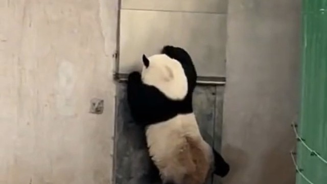 快开门，急事…