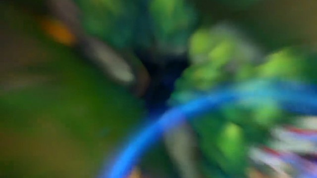 潘森：杰斯 你还会回来的 对吗