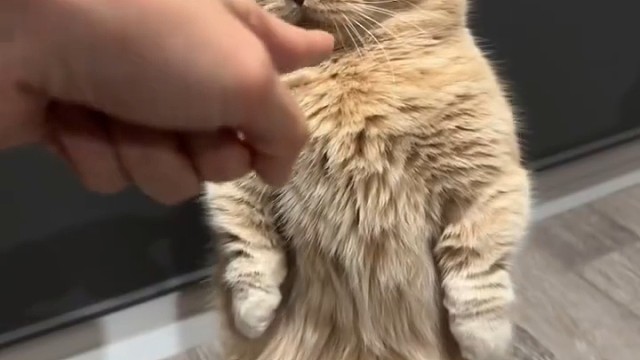 叛逆期的孩子！