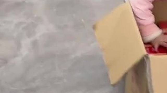 #人类幼崽成长记 #无敌小肥嘟 #无敌小瓜 嘟嘟是一只可爱的小猪