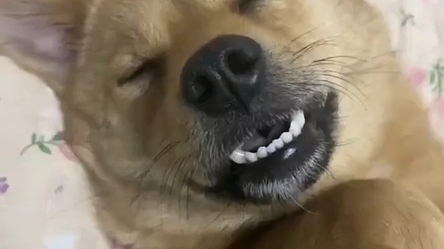 红遍大江南北的吃饭了[捂脸]