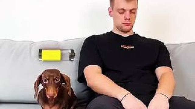 狗子的能量给主人传输，结局真是让人意想不到！#老外真会玩 #沙雕老外 #老外迷惑行