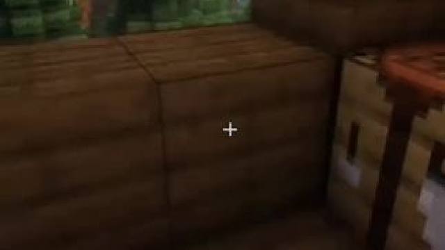 #Minecraft #我的世界