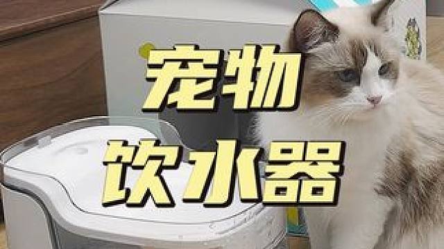 宠物智能饮水器：不再担心猫狗缺水，出差在外也不怕 #宠物饮水机#科技#科技改变生活