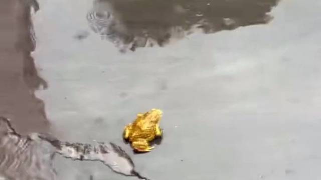 家人平安，生活富裕，事事顺心