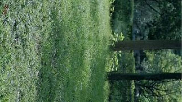 春天应该去公园走走 
#摄影 #治愈系风景 #氛围感 #春日氛围感 #春天