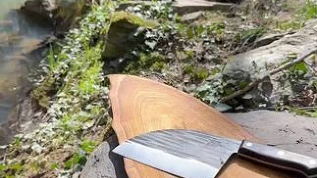 吃肉肉#嘉兴 #一起去野餐吧