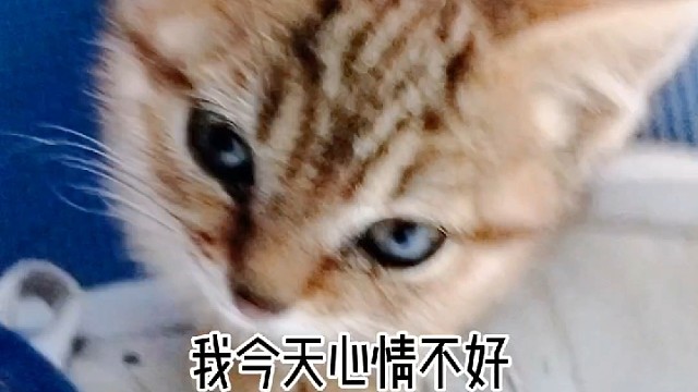 被迫营业
