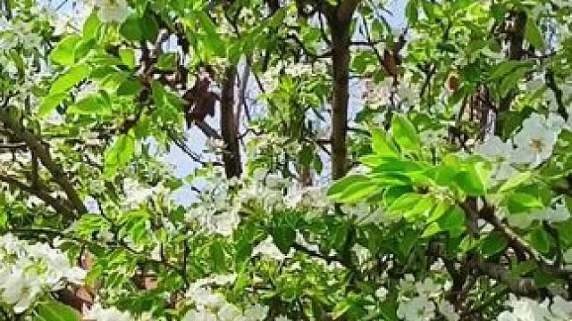 #万物有灵和谐共生