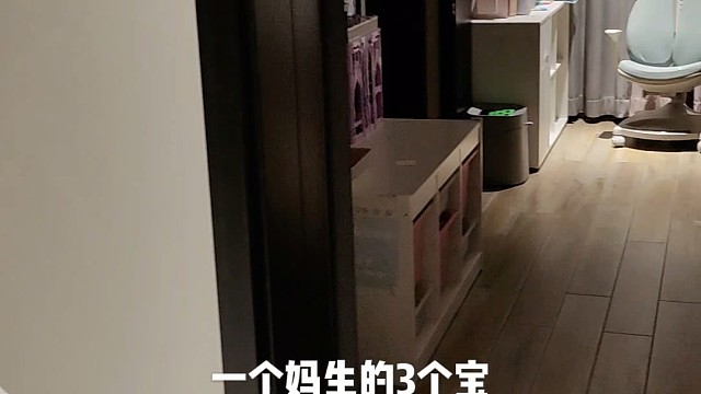 一个妈生的三个宝