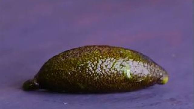 生活中的实用小技巧#实用小技巧 #小妙招大作用 #日常生活小窍门 #生活常识 #跟我涨知识