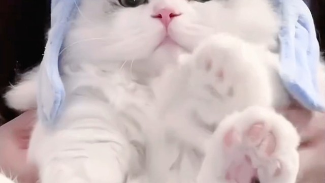 听说快乐的歌会传染～那你靠近我一点