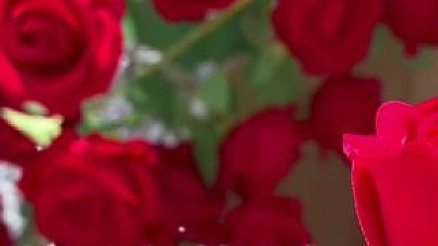 #打卡地 已搞好，要来拍照的速度咯暮野听风露营地期待您的光临