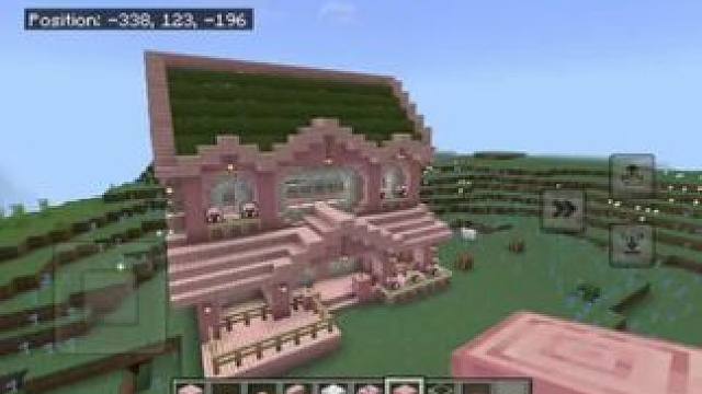 #Minecraft #我的世界