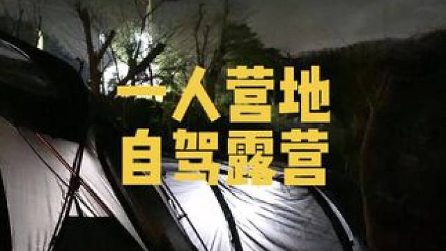 一人自驾营地过夜露营，遇到大只猫科动物该如何应对？#户外露营 #露营美食 #一起露营吧 #露营神车