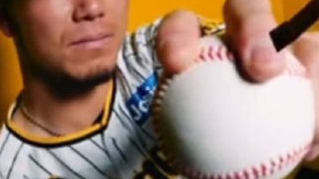 阪神虎！2024日本职棒阪神主场 开幕PV opening movie#棒球 #阪神虎 #职业棒球 