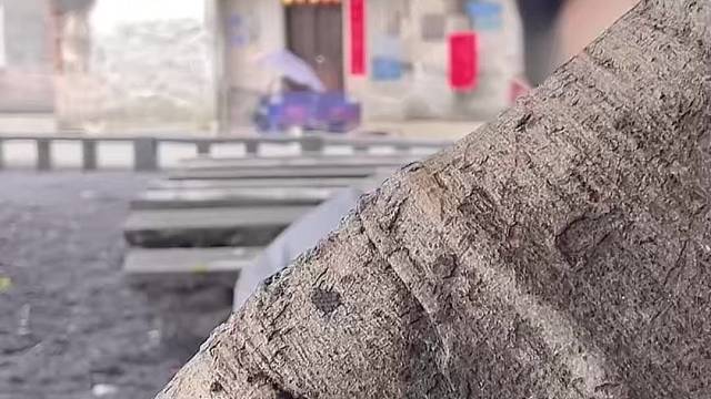 汤姆猫喜欢泥哦