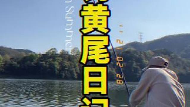 #2024dou来钓鱼 #春天总要出门钓一次鱼吧 西山钓黄尾