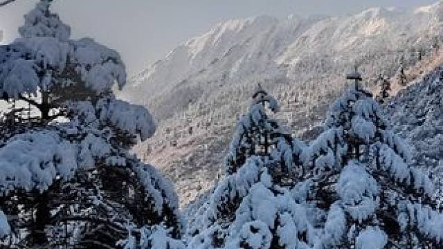 #热门 雪一下，自由登场！#雪景 #西藏下雪了