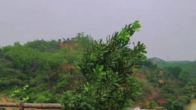 一线山景美️#一起露营吧 #春光正好去露营 #远离城市的喧嚣 #美食分享 #露营漫时光