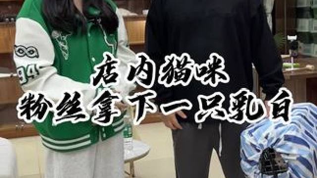 非常社牛的一个小姐姐 给我整不会了！#壮实说猫 #上门挑猫 #乳白