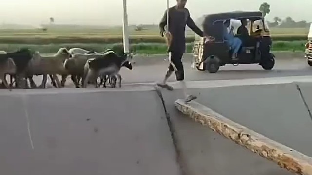 好厉害我可不敢过[笑哭]