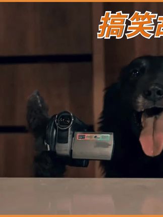 钢琴家海哥的灵感#反转 #意不意外 #猜不到 #脑洞大开
