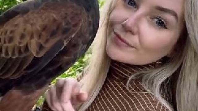 国外美女的栗翅鹰 #国外视频分享 #奇妙的动物 #宠物