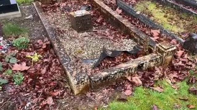 我发布了一个新视频，快来围观吧！