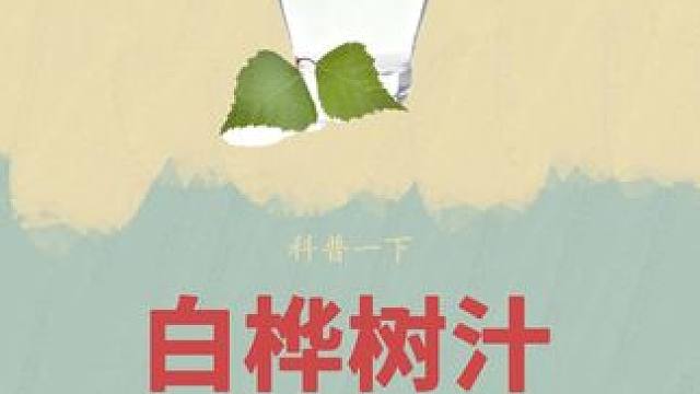 每一滴都来之不易！#白桦树汁 #制作过程 #白桦树 #科普