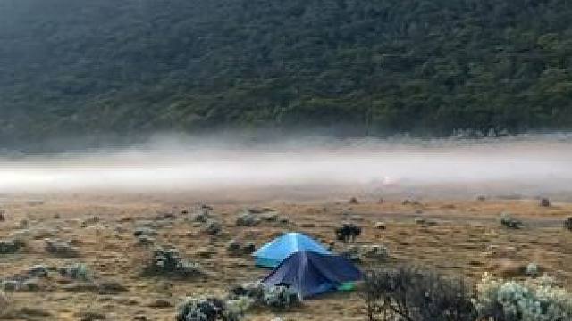 薄雾下的露营#露营报告 #山野自然 #治愈系风景