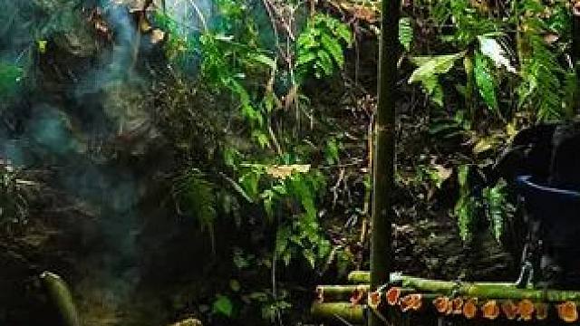 建造风湿宝地庇护所独居生活 #荒野建造 #野外建造 #庇护所