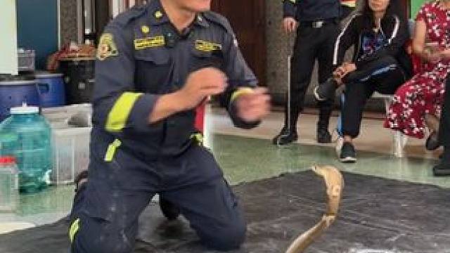 泰国消防员教头演示如何应对眼镜 #国外视频分享 #野生动物零距离 #