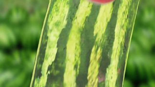 #热门   #衡门有狐 #于正 #上热门 我说的只是我个人的观点哈，以我个人的角度思考了之后说的，虽