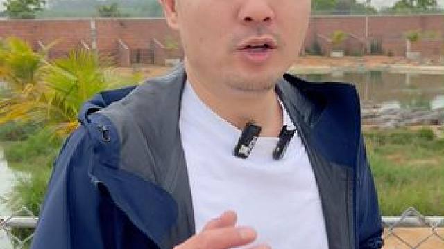 悄悄地看过来了老哥们d #鳄珍  #养生酒  #泡酒