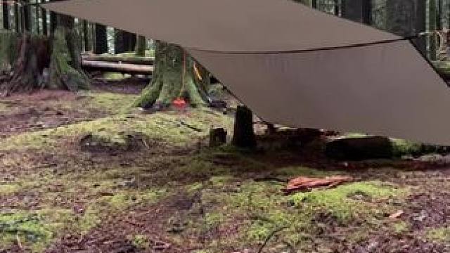 树林里无撑杆的天幕庇护搭法#露营报告 #露营技巧报告