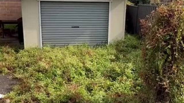 我发布了一个新视频，快来围观吧！