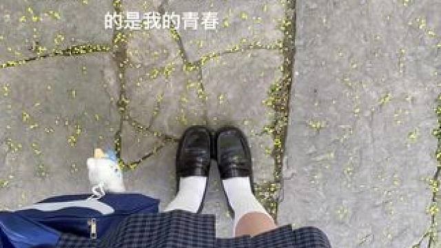 怎么会不喜欢小裙子呢 我会永远热爱
#jk制服 #格裙 #期待夏天