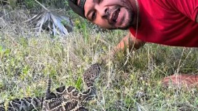 外国小伙说它非常危险，但是他运气好 #国外视频分享 #野生动物零距离