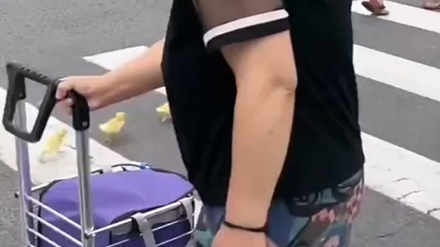 真是一道风景[捂脸]