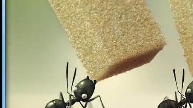 一场由糖果引发的蚂蚁大战，场面超级震撼#电影解说