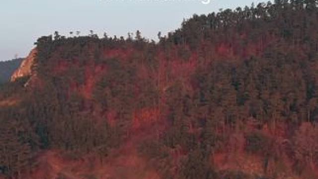 #露营报告 越野露营