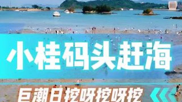 挖不完，挖不完，根本挖不完！#赶海#深圳赶海好去处 #赶海赶海赶海啦 #旅行推荐官 #周边游
