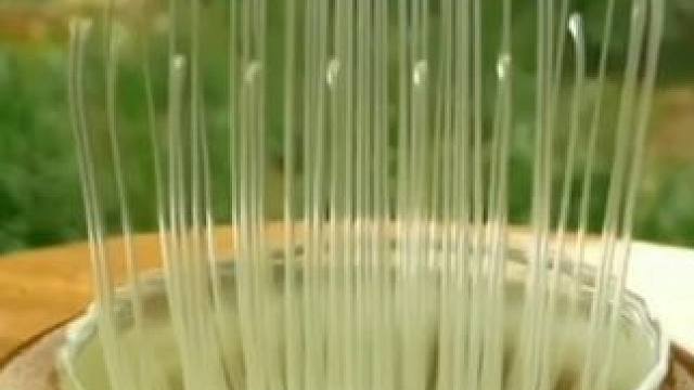 这不是魔术，这是真实的科学小实验#科学小实验 #趣味实验 #物理实验 #生活小实验 #家庭小实验 