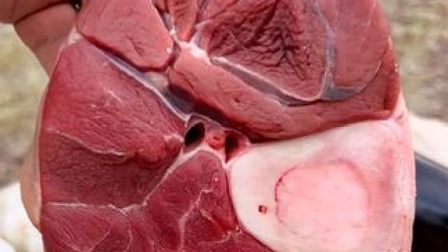 #外国美食 #户外美食制作 #户外美食