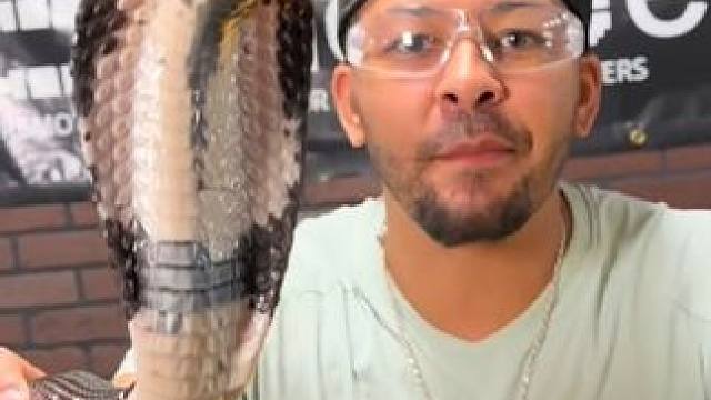 真替这哥们捏一把汗 #国外视频分享 #野生动物零距离 #专业操作请勿