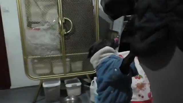 没事的哥哥！我们要学会原谅！